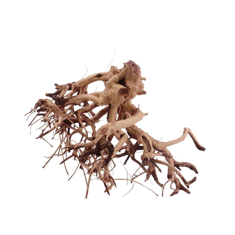 L Flowerwurzel Nr.4107 Wurzel Holz Aquarium Deko Aquascaping 