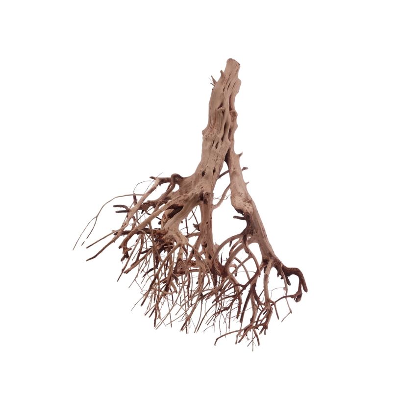 L Flowerwurzel Nr.4108 Wurzel Holz Aquarium Deko Aquascaping 