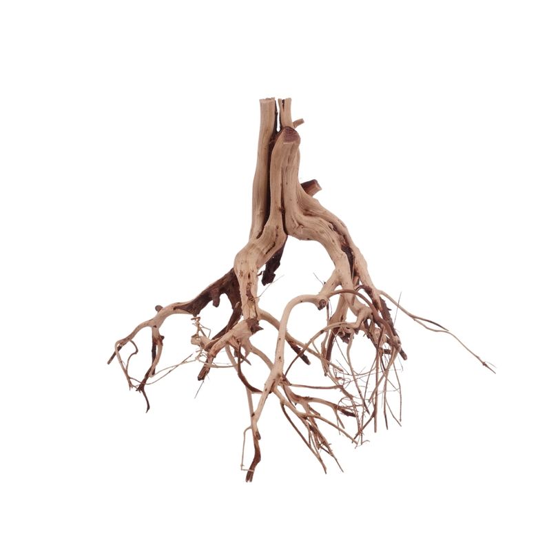 L Flowerwurzel Nr.4110 Wurzel Holz Aquarium Deko Aquascaping 