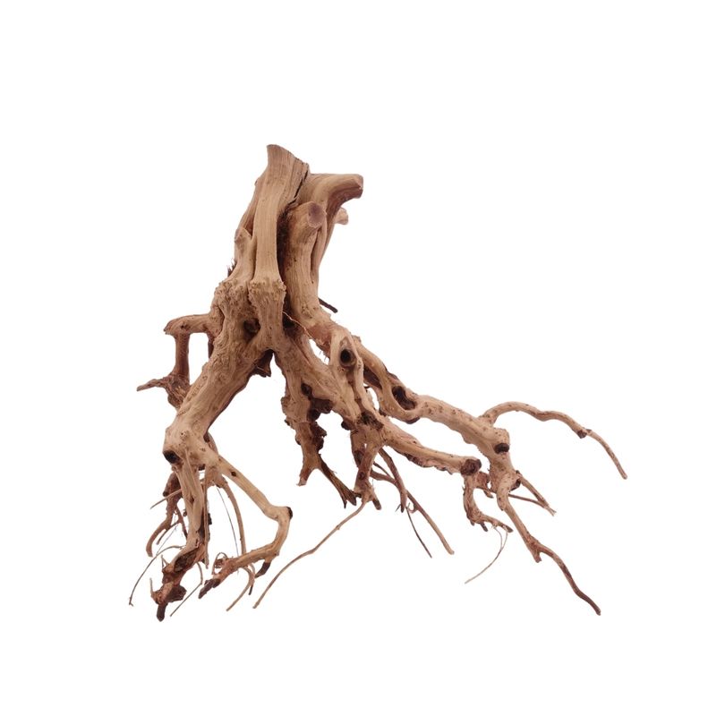 L Flowerwurzel Nr.4114 Wurzel Holz Aquarium Deko Aquascaping 