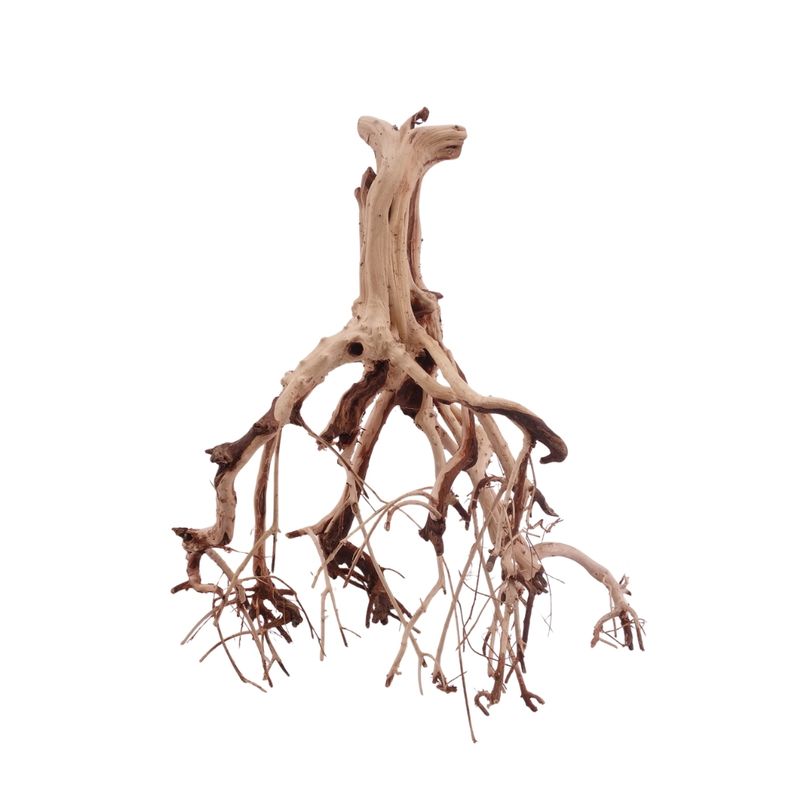 L Flowerwurzel Nr.4116 Wurzel Holz Aquarium Deko Aquascaping 
