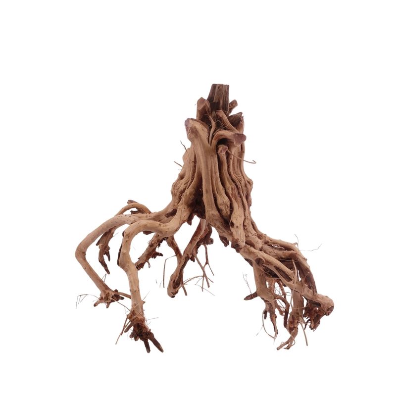 L Flowerwurzel Nr.4117 Wurzel Holz Aquarium Deko Aquascaping 