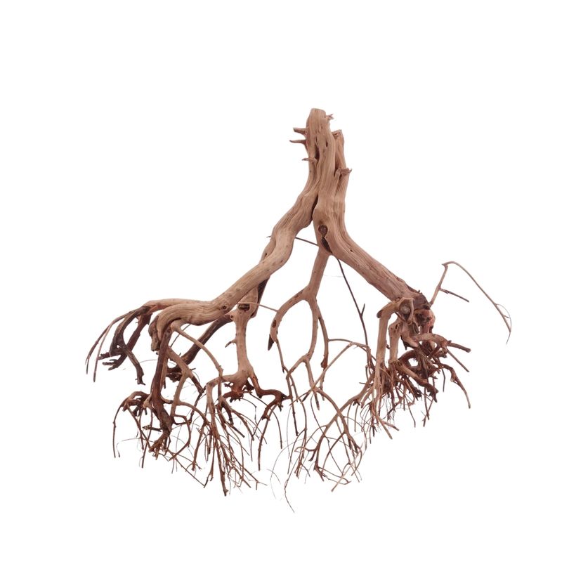 L Flowerwurzel Nr.4118 Wurzel Holz Aquarium Deko Aquascaping 