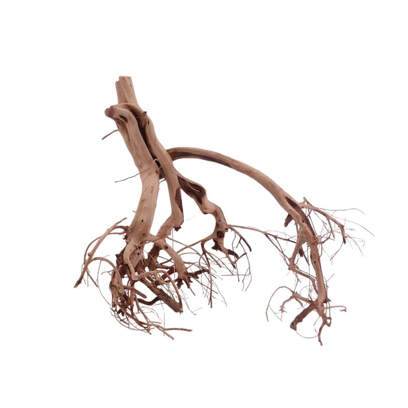 L Flowerwurzel Nr.4120 Wurzel Holz Aquarium Deko Aquascaping 