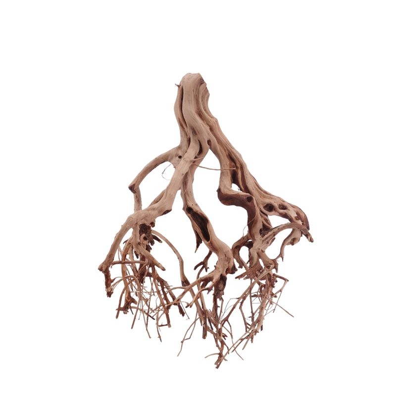 L Flowerwurzel Nr.4121 Wurzel Holz Aquarium Deko Aquascaping 