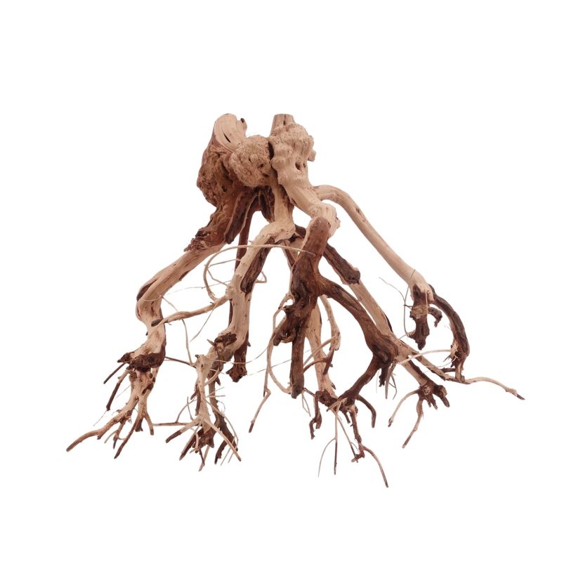 L Flowerwurzel Nr.4122 Wurzel Holz Aquarium Deko Aquascaping 