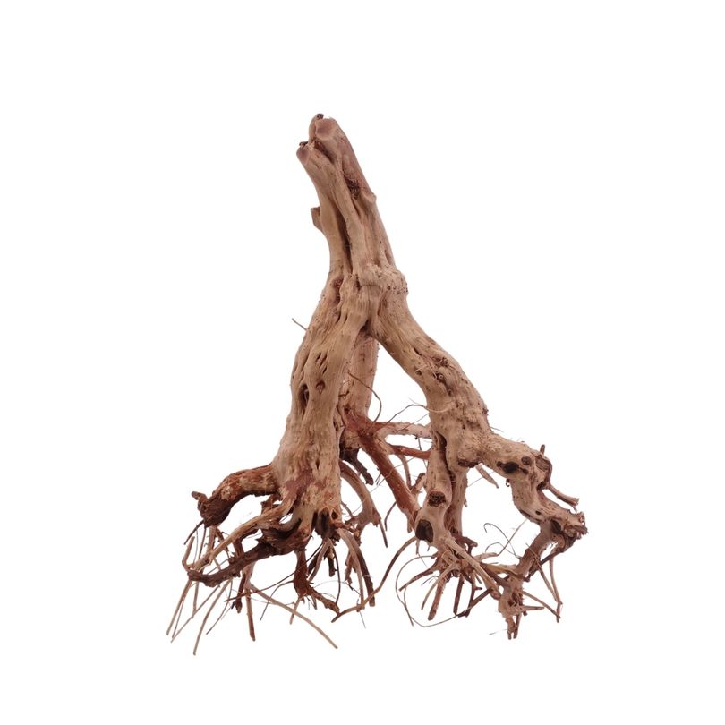 L Flowerwurzel Nr.4123 Wurzel Holz Aquarium Deko Aquascaping 