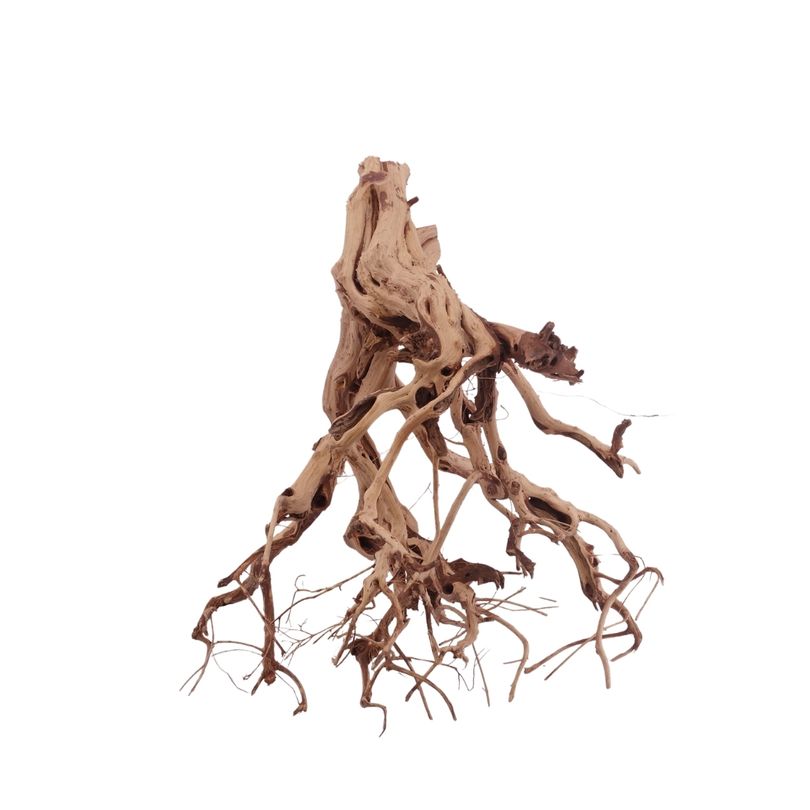L Flowerwurzel Nr.4126 Wurzel Holz Aquarium Deko Aquascaping 