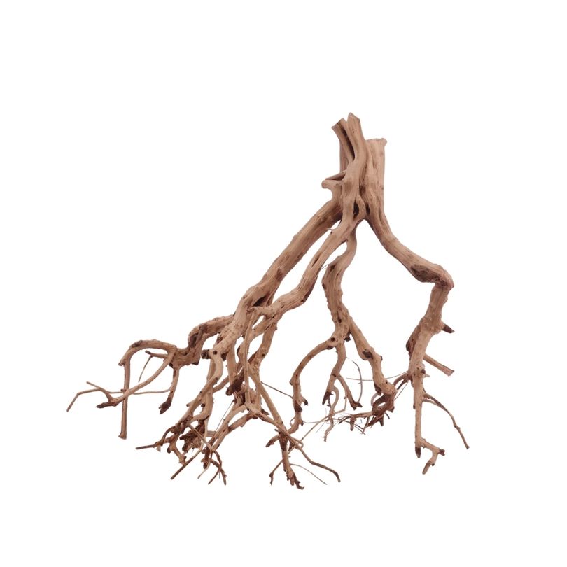 L Flowerwurzel Nr.4127 Wurzel Holz Aquarium Deko Aquascaping 