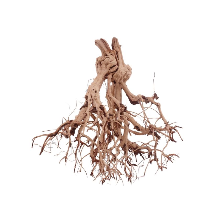 L Flowerwurzel Nr.4128 Wurzel Holz Aquarium Deko Aquascaping 