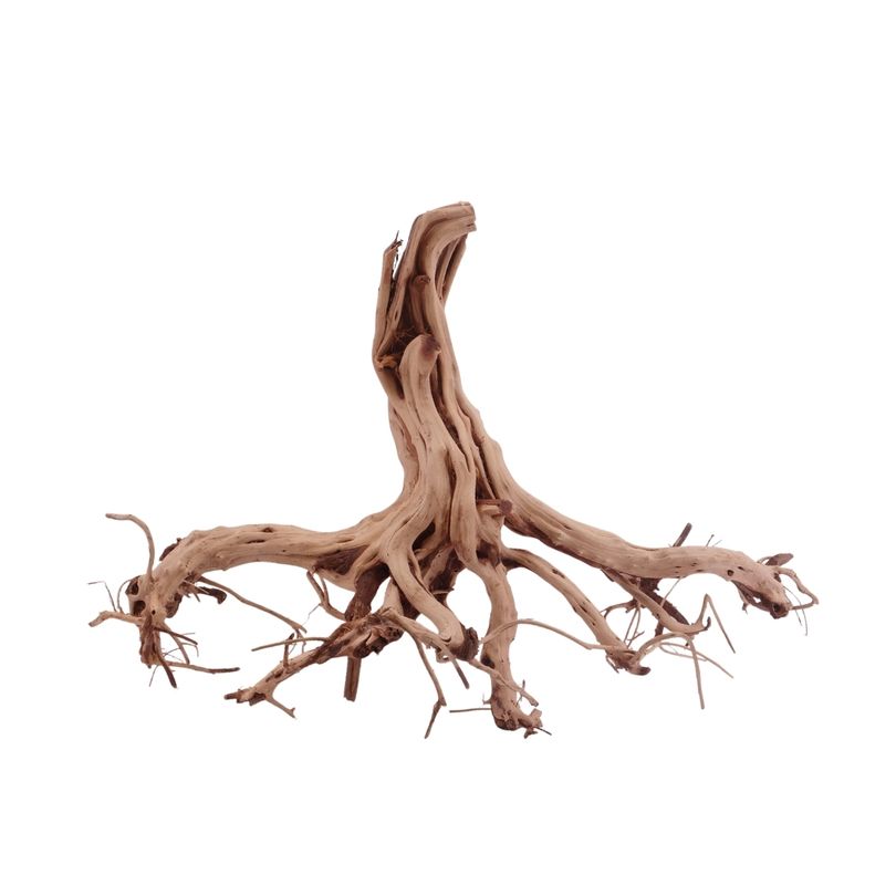 L Flowerwurzel Nr.4129 Wurzel Holz Aquarium Deko Aquascaping 