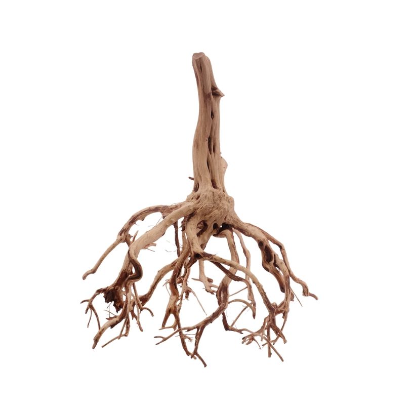 L Flowerwurzel Nr.4131 Wurzel Holz Aquarium Deko Aquascaping 