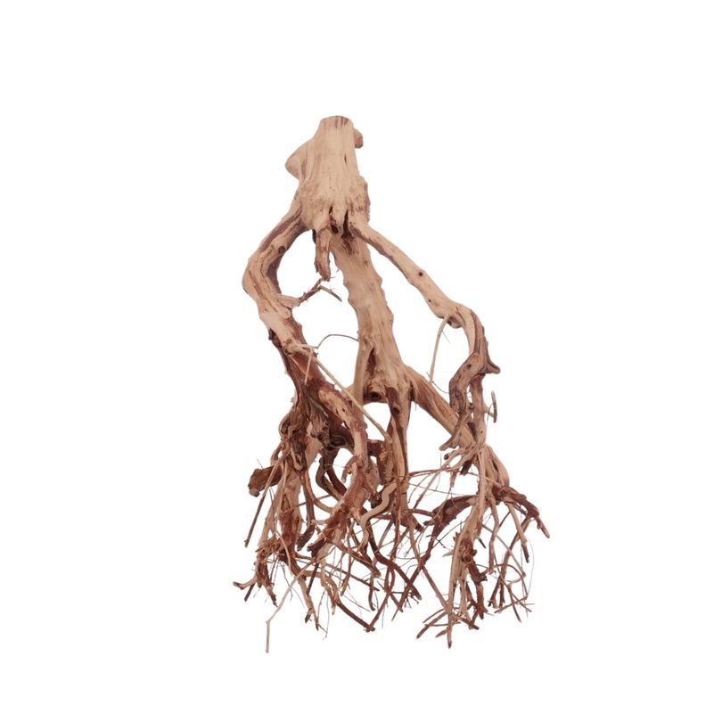 L Flowerwurzel Nr.4132 Wurzel Holz Aquarium Deko Aquascaping 