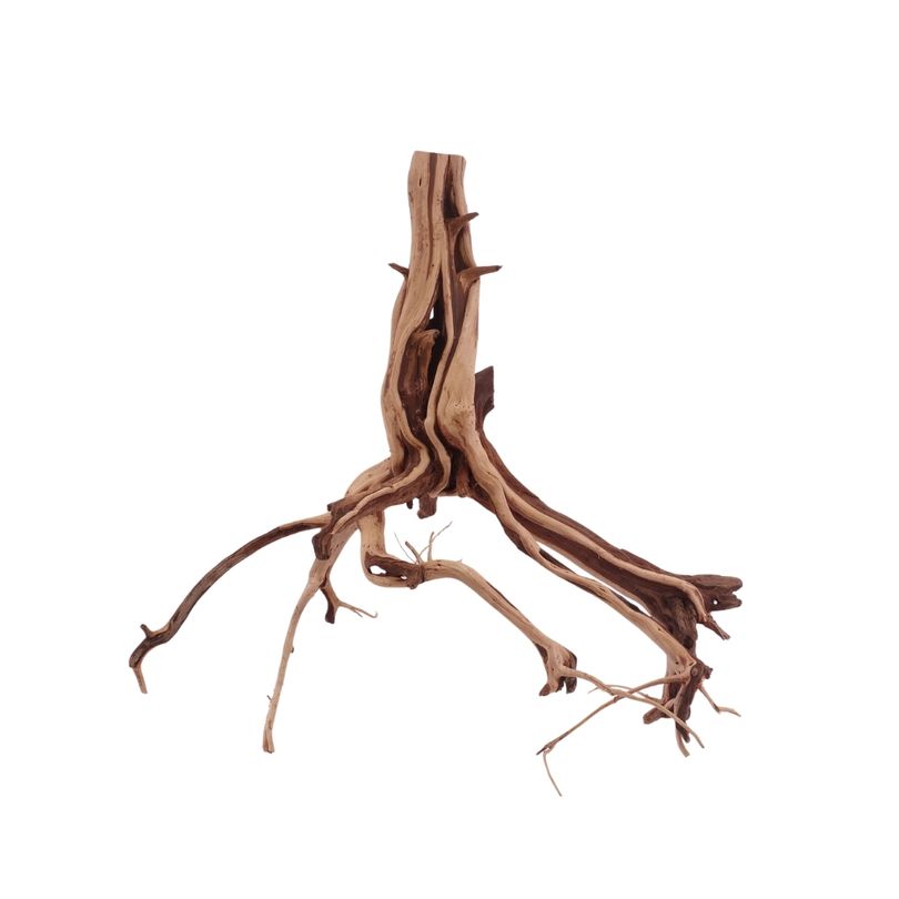 L Flowerwurzel Nr.4134 Wurzel Holz Aquarium Deko Aquascaping 
