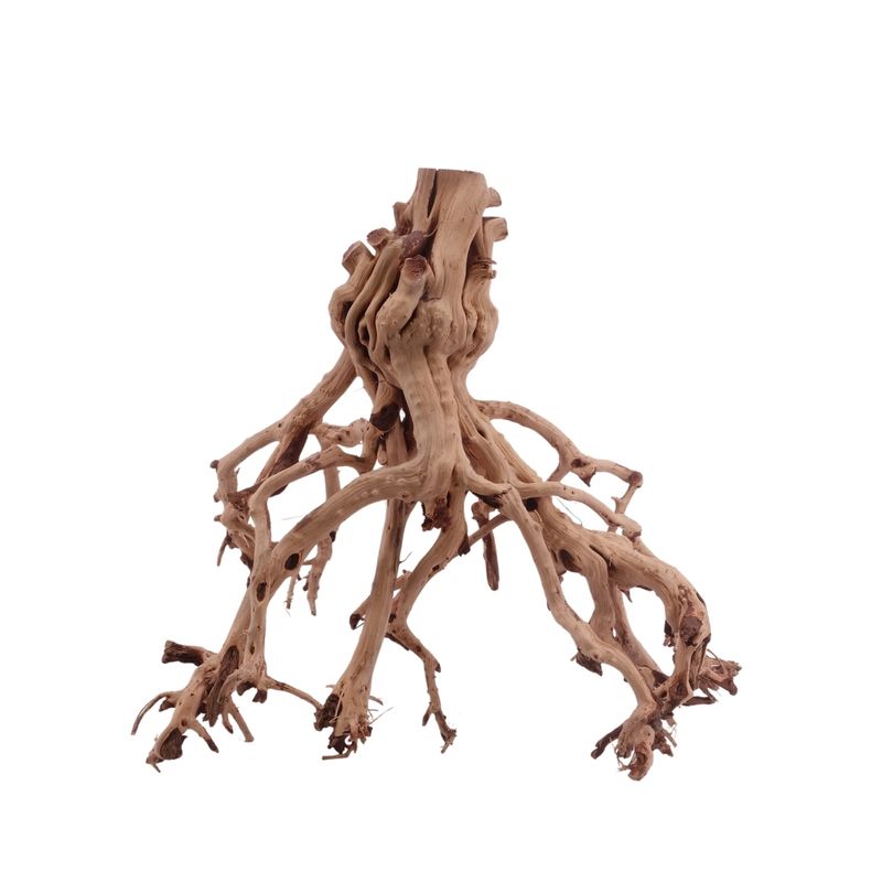 L Flowerwurzel Nr.4137 Wurzel Holz Aquarium Deko Aquascaping 