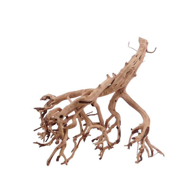 L Flowerwurzel Nr.4138 Wurzel Holz Aquarium Deko Aquascaping 