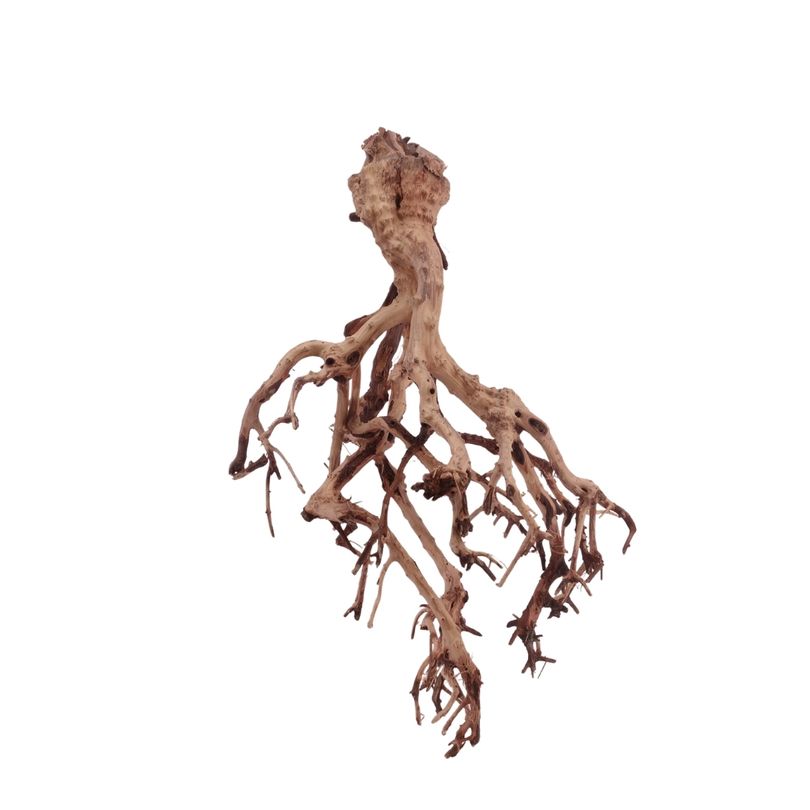 L Flowerwurzel Nr.4140 Wurzel Holz Aquarium Deko Aquascaping 