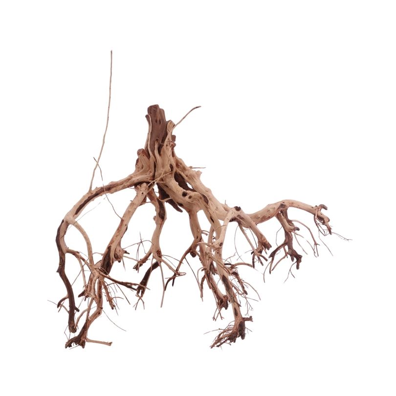 L Flowerwurzel Nr.4141 Wurzel Holz Aquarium Deko Aquascaping 