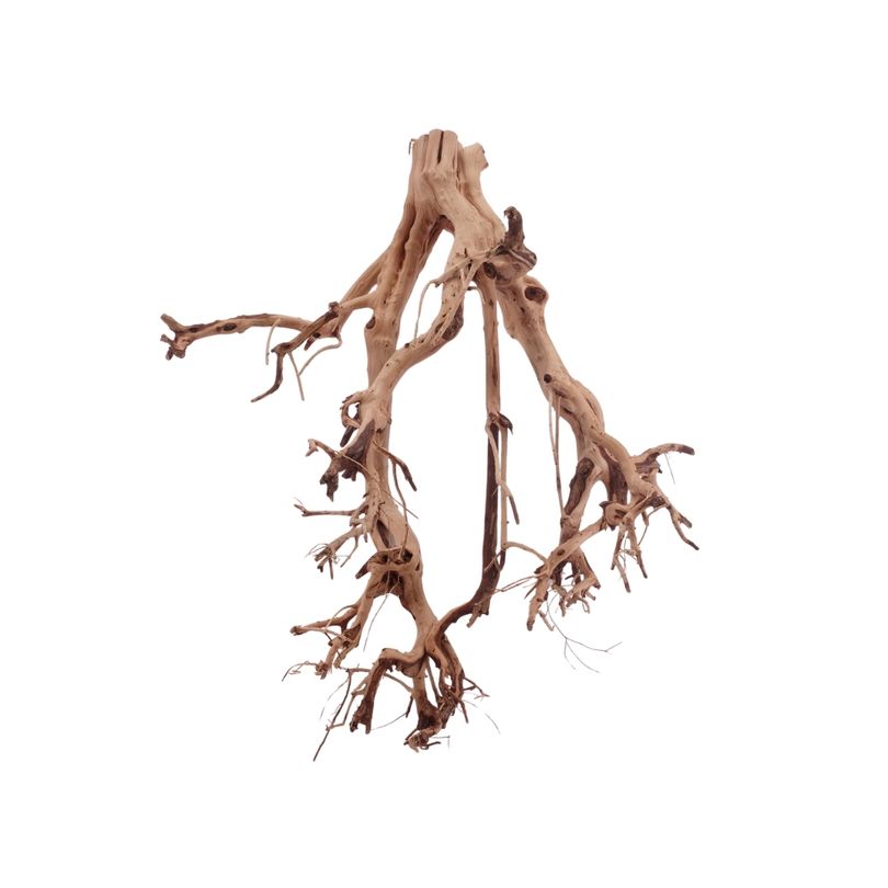 L Flowerwurzel Nr.4142 Wurzel Holz Aquarium Deko Aquascaping 