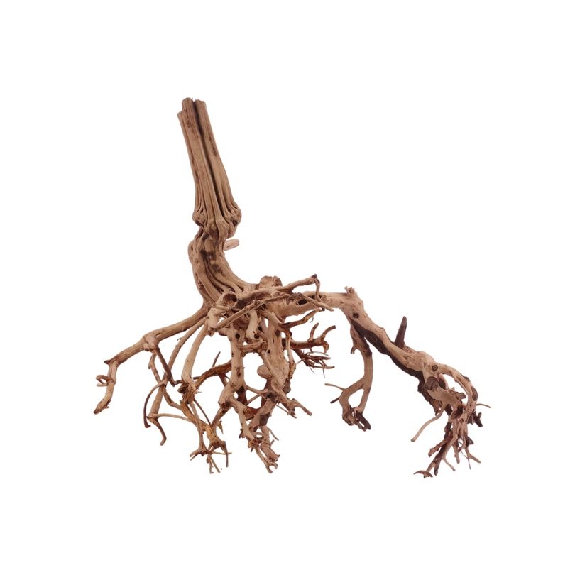 L Flowerwurzel Nr.4143 Wurzel Holz Aquarium Deko Aquascaping 