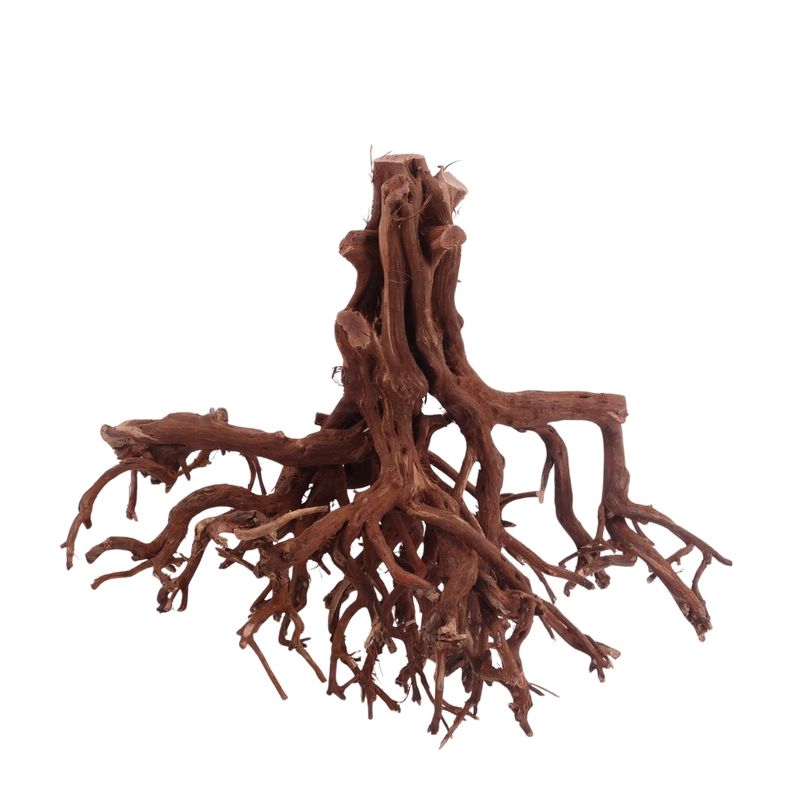 XL Flowerwurzel Nr.4146 Wurzel Holz Aquarium Deko Aquascaping 