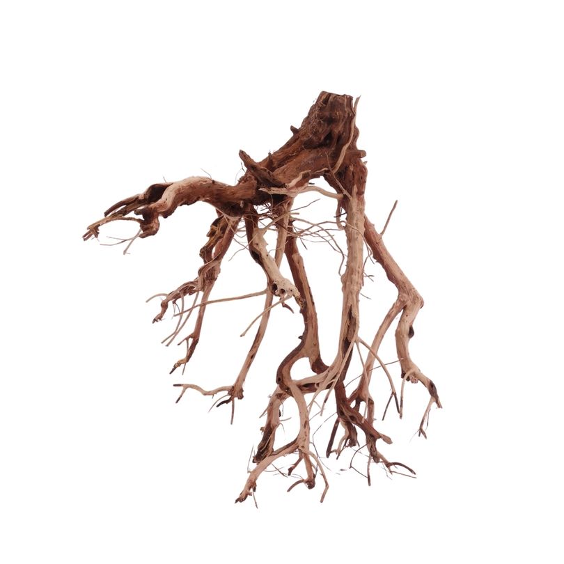 XL Flowerwurzel Nr.4147 Wurzel Holz Aquarium Deko Aquascaping 