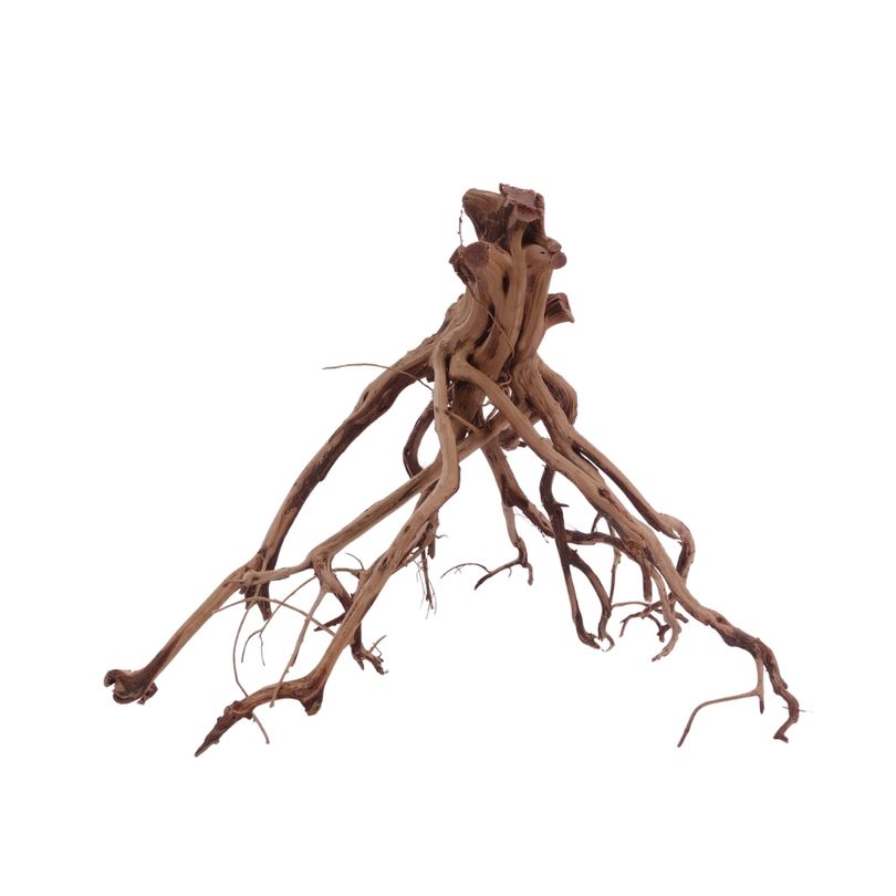 XL Flowerwurzel Nr.4148 Wurzel Holz Aquarium Deko Aquascaping 