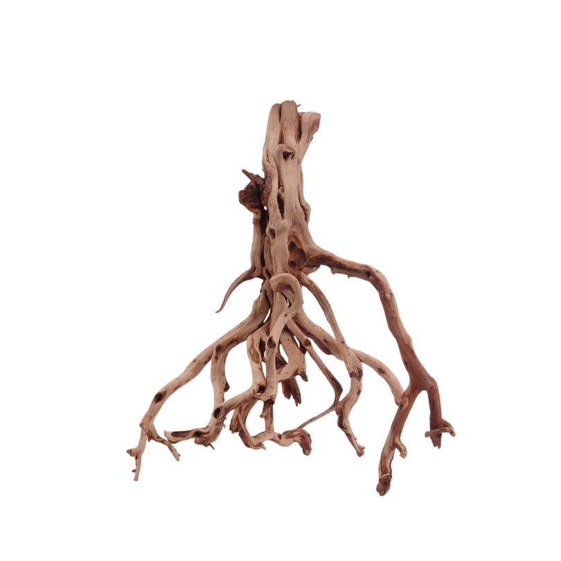 XL Flowerwurzel Nr.4151 Wurzel Holz Aquarium Deko Aquascaping 