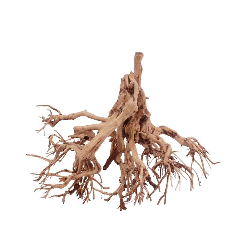XL Flowerwurzel Nr.4152 Wurzel Holz Aquarium Deko Aquascaping 