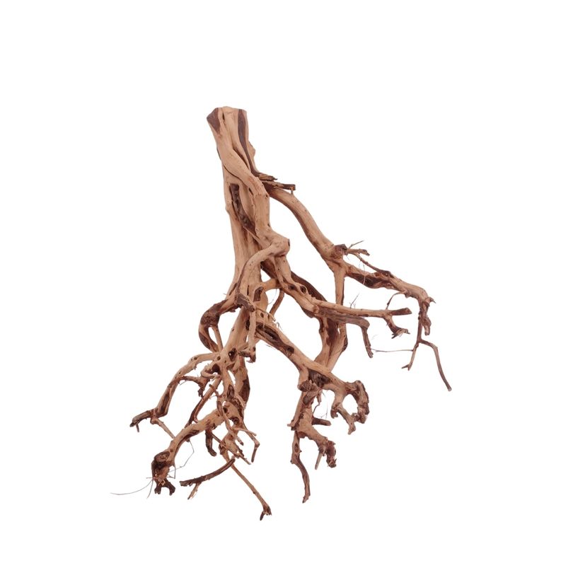 XL Flowerwurzel Nr.4154 Wurzel Holz Aquarium Deko Aquascaping 