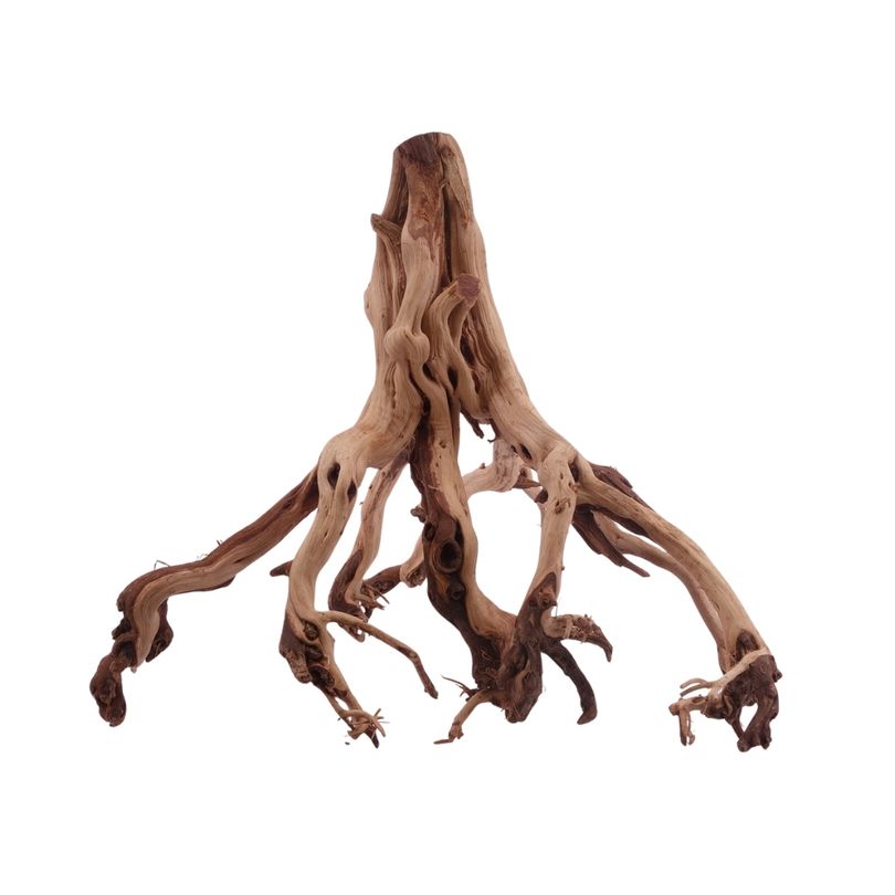 XL Flowerwurzel Nr.4156 Wurzel Holz Aquarium Deko Aquascaping 