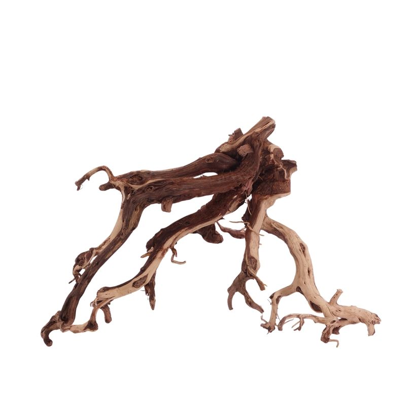XL Flowerwurzel Nr.4162 Wurzel Holz Aquarium Deko Aquascaping 