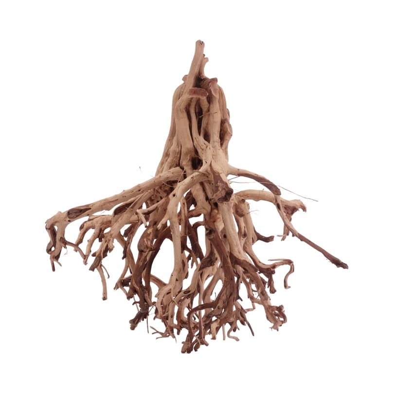 XL Flowerwurzel Nr.4164 Wurzel Holz Aquarium Deko Aquascaping 