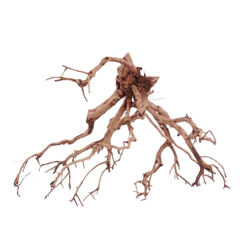 XL Flowerwurzel Nr.4165 Wurzel Holz Aquarium Deko Aquascaping 