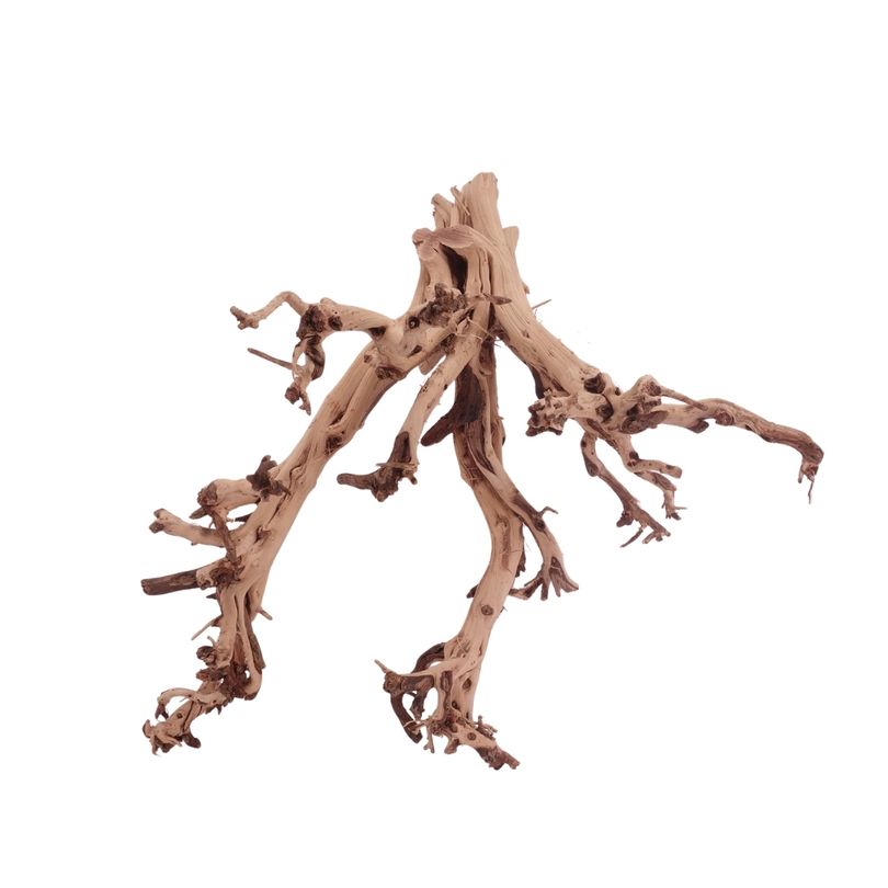XL Flowerwurzel Nr.4171 Wurzel Holz Aquarium Deko Aquascaping 