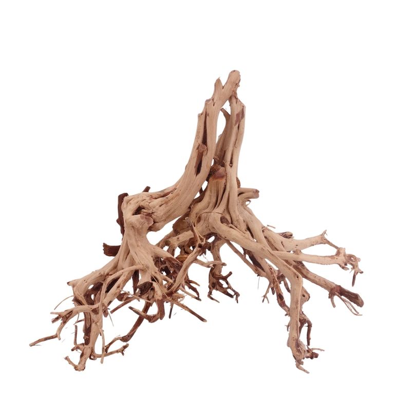 XL Flowerwurzel Nr.4173 Wurzel Holz Aquarium Deko Aquascaping 