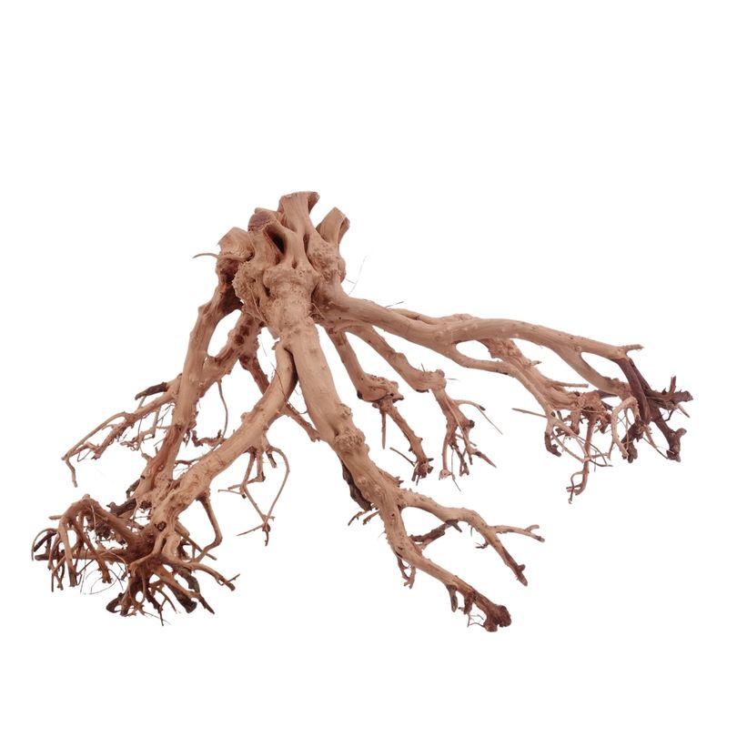 XL Flowerwurzel Nr.4176 Wurzel Holz Aquarium Deko Aquascaping 