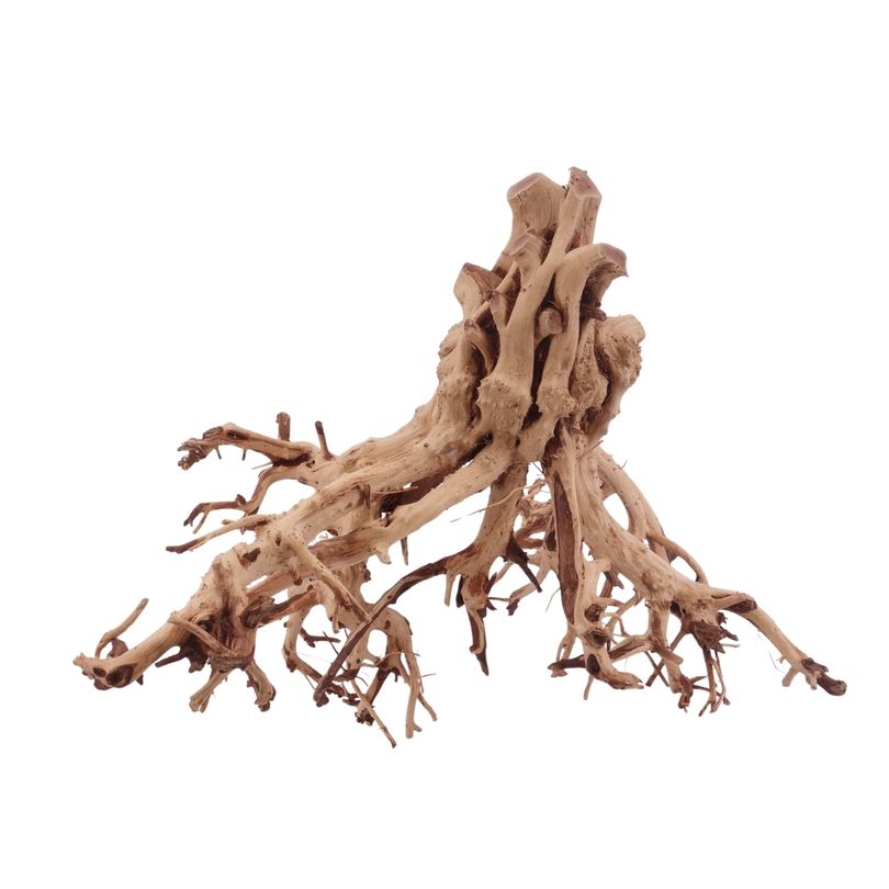 XL Flowerwurzel Nr.4181 Wurzel Holz Aquarium Deko Aquascaping 