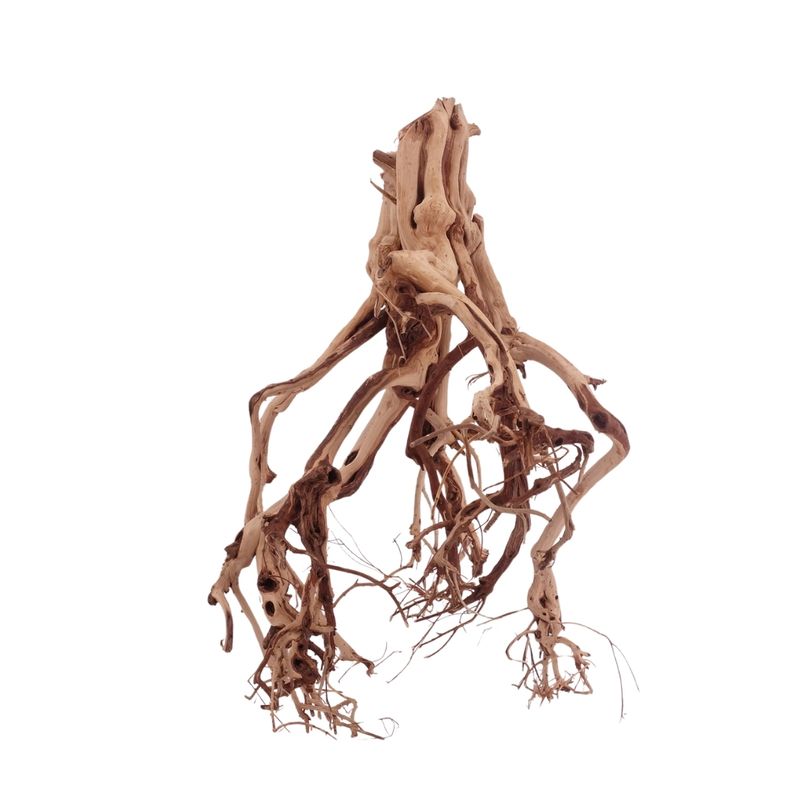 XL Flowerwurzel Nr.4182 Wurzel Holz Aquarium Deko Aquascaping 