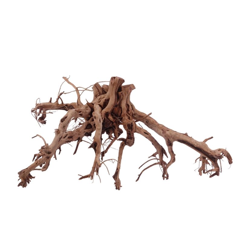XL Flowerwurzel Nr.4183 Wurzel Holz Aquarium Deko Aquascaping 