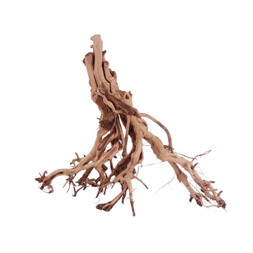 XL Flowerwurzel Nr.4187 Wurzel Holz Aquarium Deko Aquascaping 