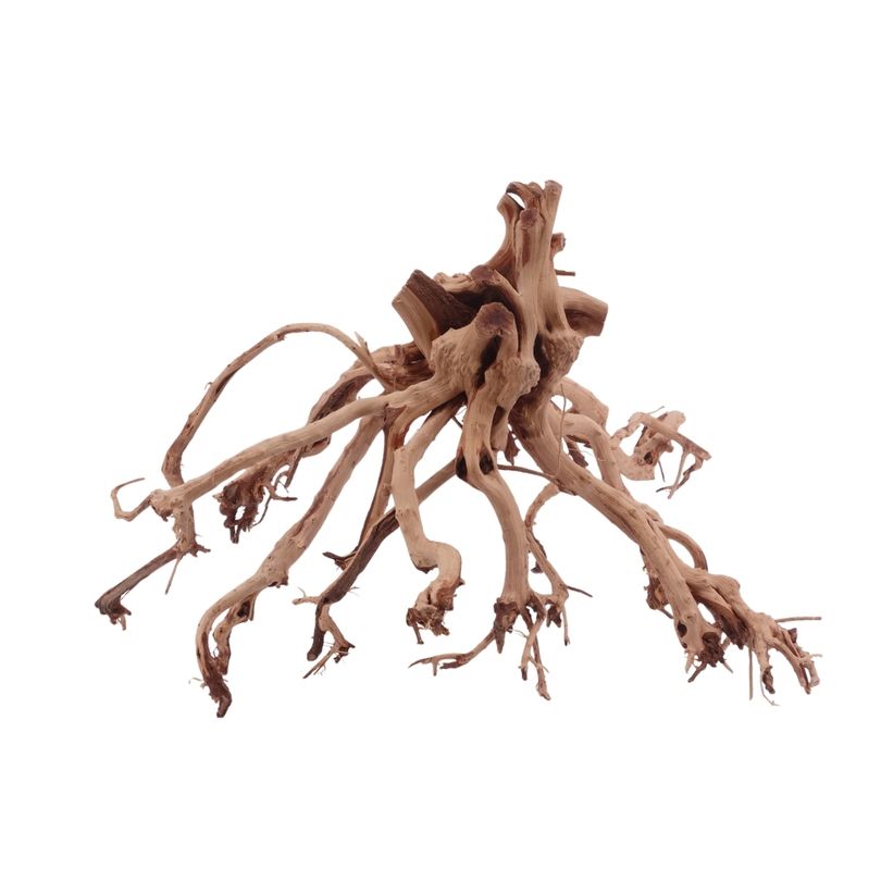 XL Flowerwurzel Nr.4189 Wurzel Holz Aquarium Deko Aquascaping 