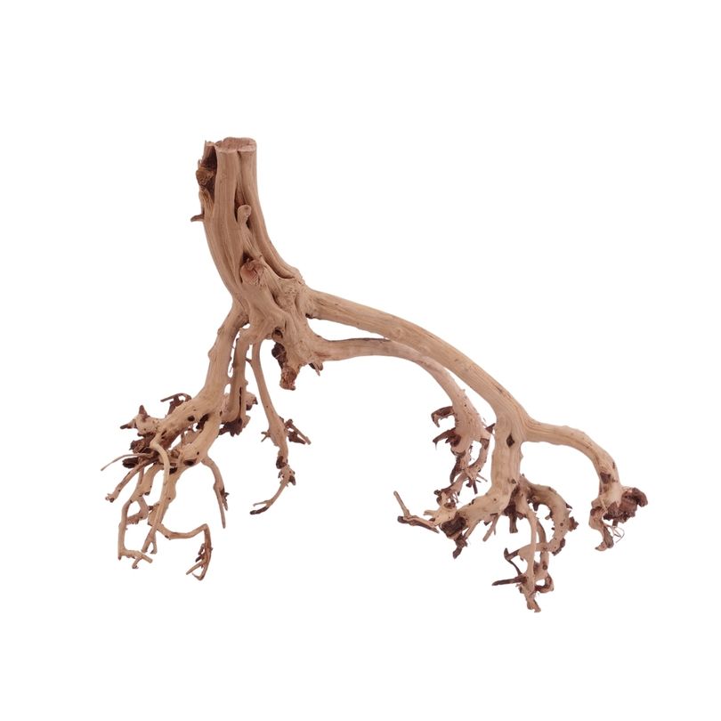 XL Flowerwurzel Nr.4190 Wurzel Holz Aquarium Deko Aquascaping 