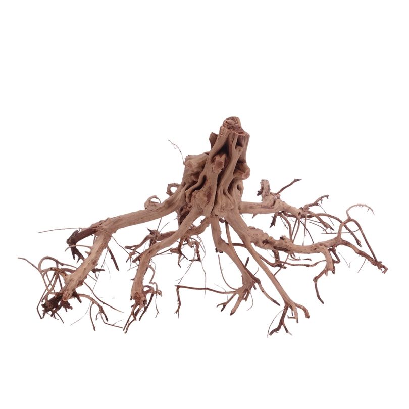 XL Flowerwurzel Nr.4192 Wurzel Holz Aquarium Deko Aquascaping 
