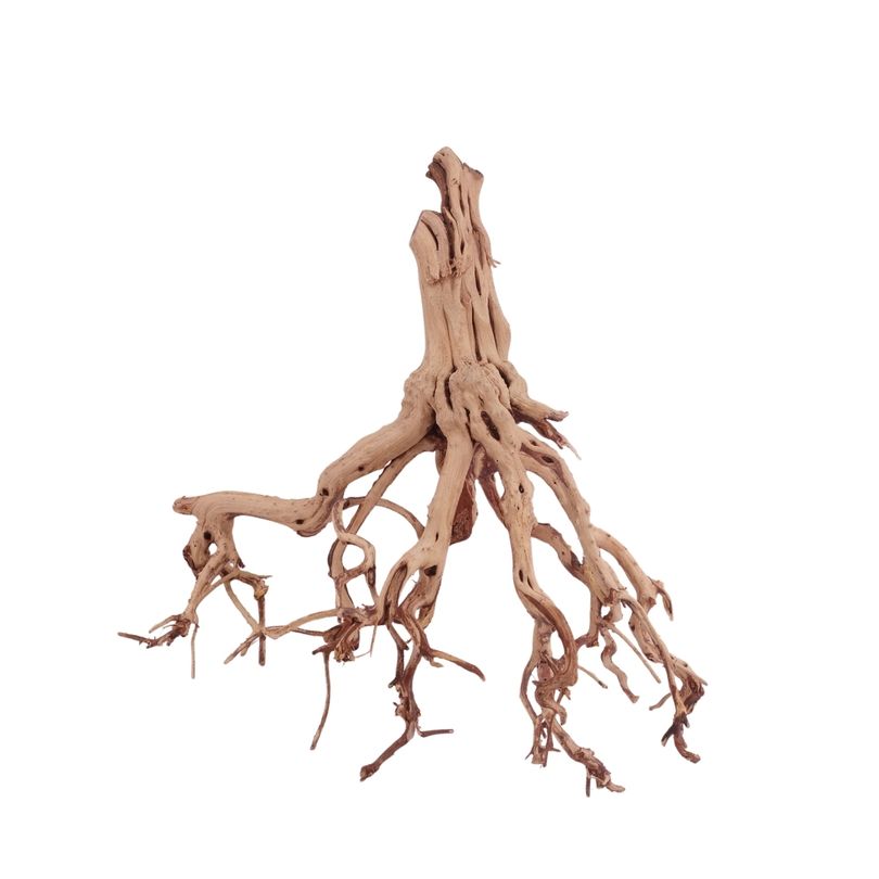 XL Flowerwurzel Nr.4193 Wurzel Holz Aquarium Deko Aquascaping 