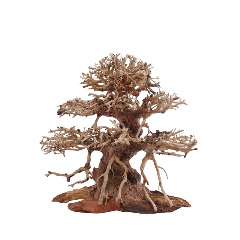Premium Bonsai Baum M 20x12x20 cm Wurzel Holz Aquarium Deko Aquascaping 