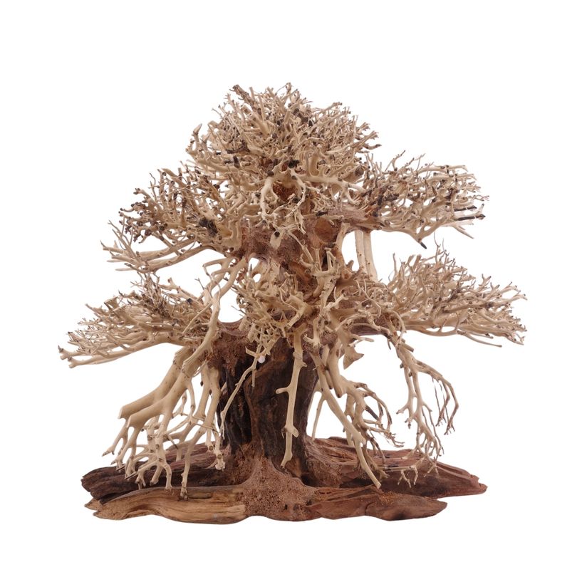 Premium Bonsai Baum L 30x15x30 cm Wurzel Holz Aquarium Deko Aquascaping 