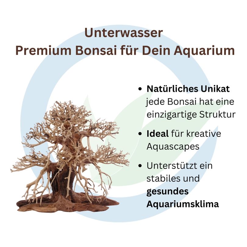 Premium Bonsai Baum XL 40x20x40 Wurzel Holz Aquarium Deko Aquascaping