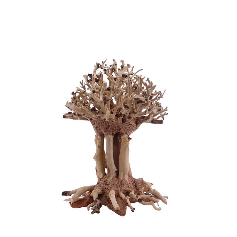 Bonsai Mammut Baum M 10x10x15 cm Wurzel Holz Aquarium Deko Aquascaping 