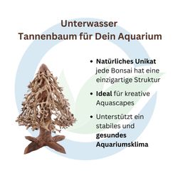 bambus zahnbürste biomüll Bambus Zahnbürste - 4 Stück main image 1